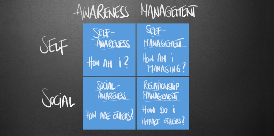 Self-Awareness Management